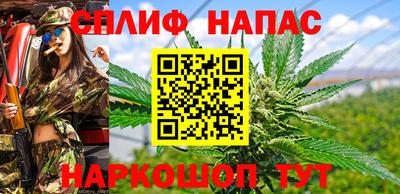 гидра Кандалакша