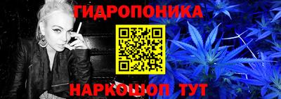 гидра Кандалакша