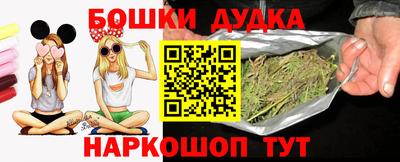 МДПВ Камышлов