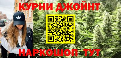 МДПВ Камышлов